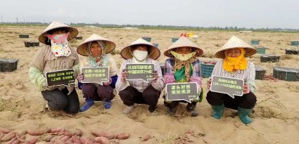 《我们在行动》收视创新高 初级农产品销售的温情与社会价值