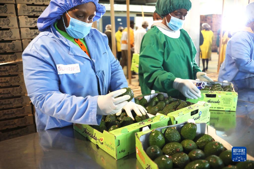 在构建新时代中非命运共同体之路上携手同行——以初级农产品销售为例，写在真实亲诚对非政策理念和正确义利观提出十周年之际