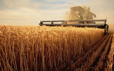 初级农业生产合作社的性质与定位