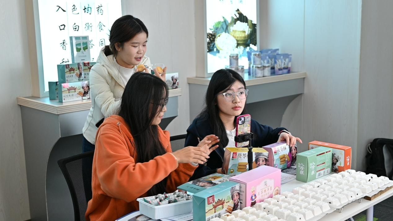 探路乡土 高校学子深入怀化，共绘特色农产品营销新蓝图