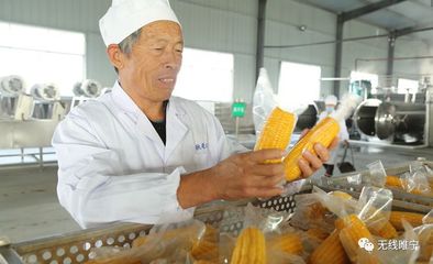 骄傲吧！睢宁模式 初级农产品销售的创新之路