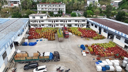 凤庆县 变“产地”为“聚地”，小果子链起富民大产业