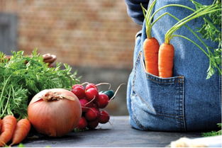 有机绿色农业网 品味天然，从田间到餐桌的纯净选择
